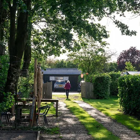 Camping Kampeerhut Met Gedeeld Sanitair