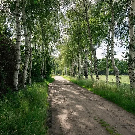 Kampeerhut Met Gedeeld Sanitair Campsite *