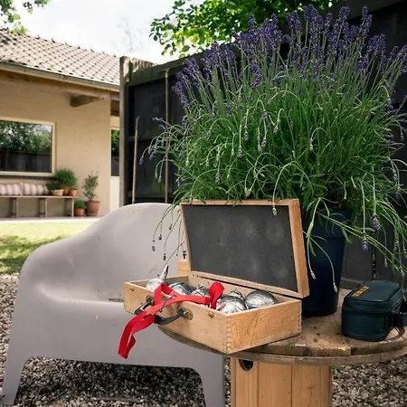Kampeerhut Met Gedeeld Sanitair Camping