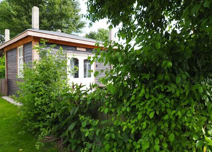 Kampeerhut Met Gedeeld Sanitair Wintelre