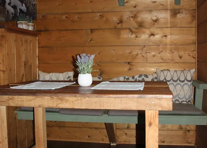 Kampeerhut Met Gedeeld Sanitair Campeggio Wintelre